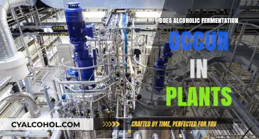 Exploring Alcoholic Fermentation in Plants: A Natural Process Unveiled