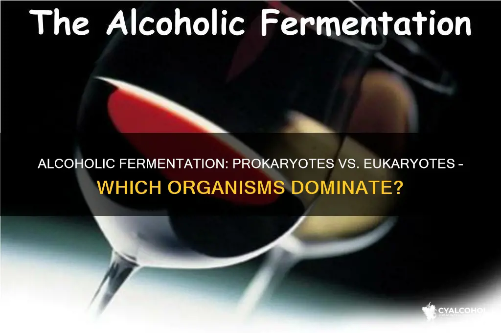 does alcoholic fermentation occur in prokaryotes or eukaryotes