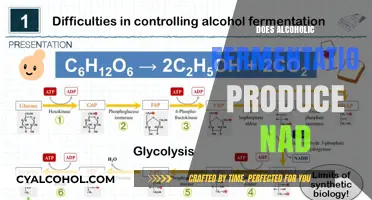 Unveiling the Biochemistry: Does Alcoholic Fermentation Produce NAD?