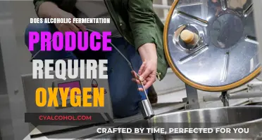 Does Alcoholic Fermentation Need Oxygen? Unraveling the Science Behind It