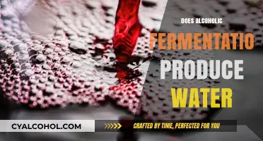 Unveiling the Truth: Does Alcoholic Fermentation Produce Water?