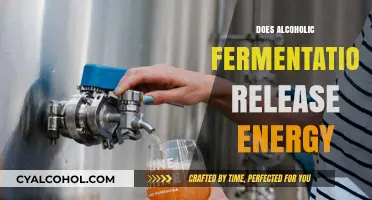 Unveiling the Energetic Secrets of Alcoholic Fermentation