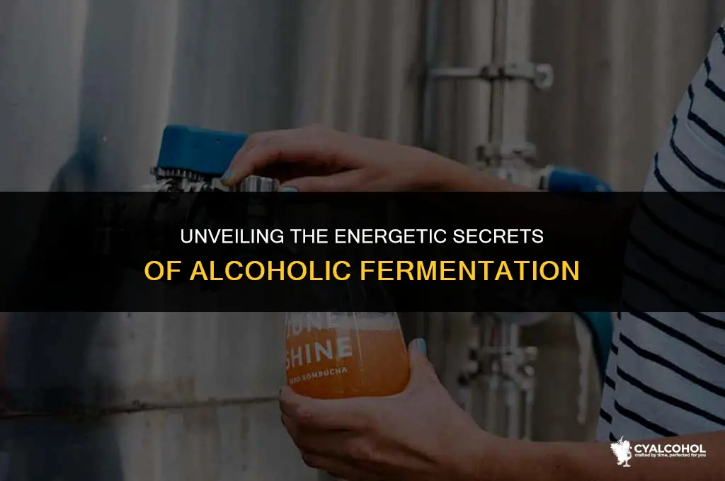 does alcoholic fermentation release energy