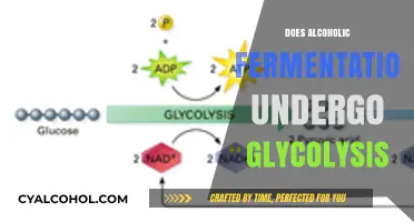 Unraveling the Connection: Alcoholic Fermentation and Glycolysis Explained