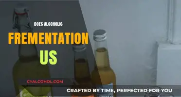 Exploring Alcoholic Fermentation: Uses, Benefits, and Everyday Applications