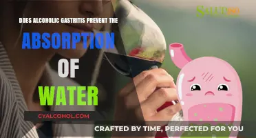 Alcoholic Gastritis and Water Absorption: Understanding the Impact on Hydration