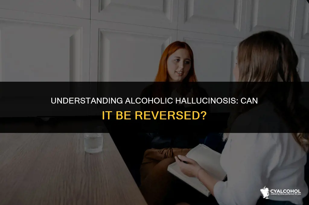 does alcoholic hallucinosis go away