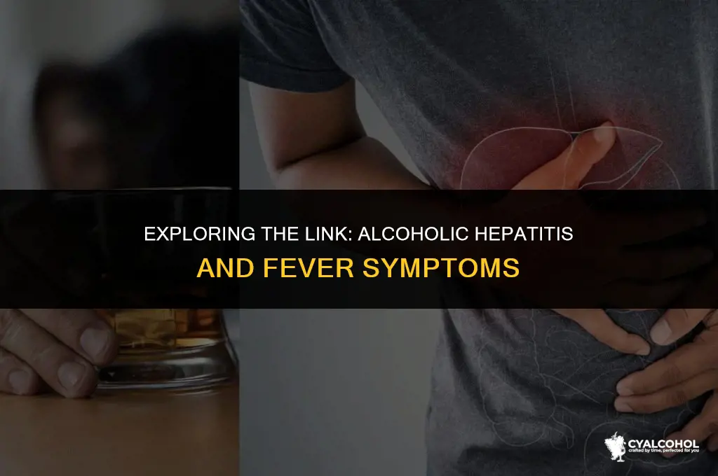 does alcoholic hepatitis give fever