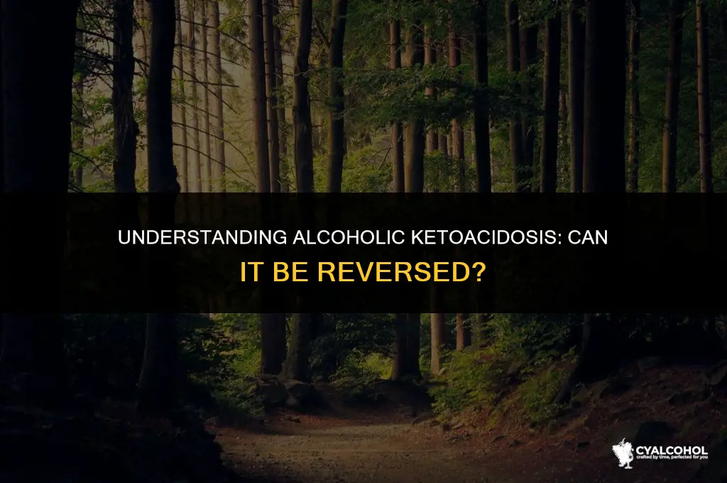does alcoholic ketoacidosis go away