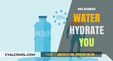 Hydration and Alcohol: Debunking Myths About Alcoholic Water