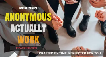Exploring the Effectiveness of Alcoholics Anonymous: A Comprehensive Review