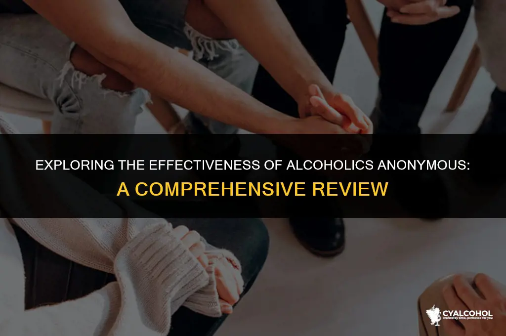 does alcoholics anonymous actually work