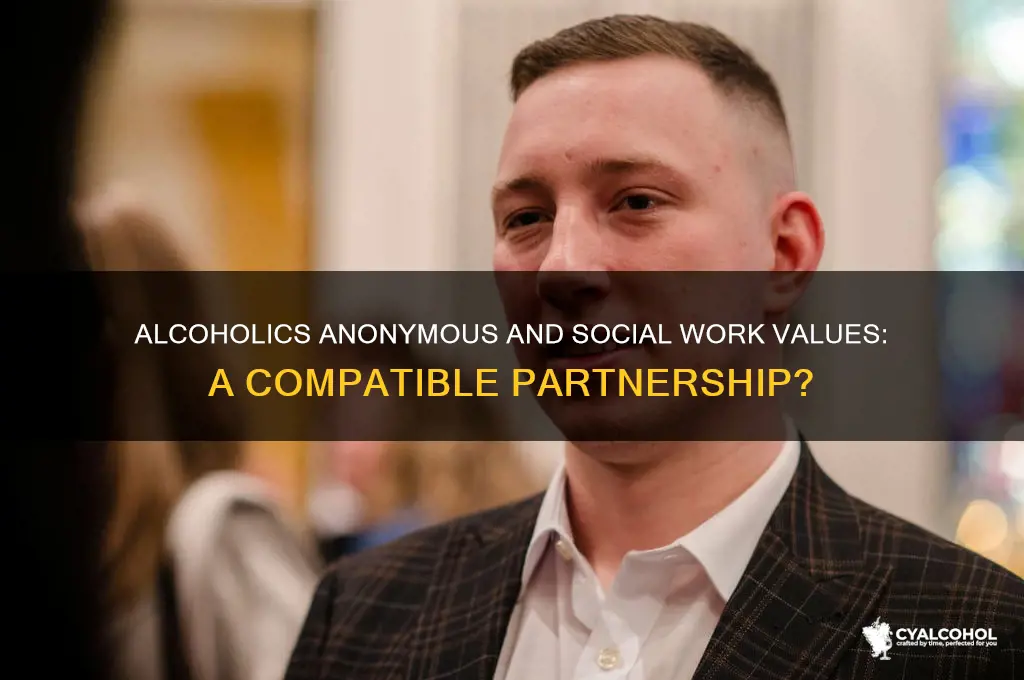 does alcoholics anonymous align with social work values