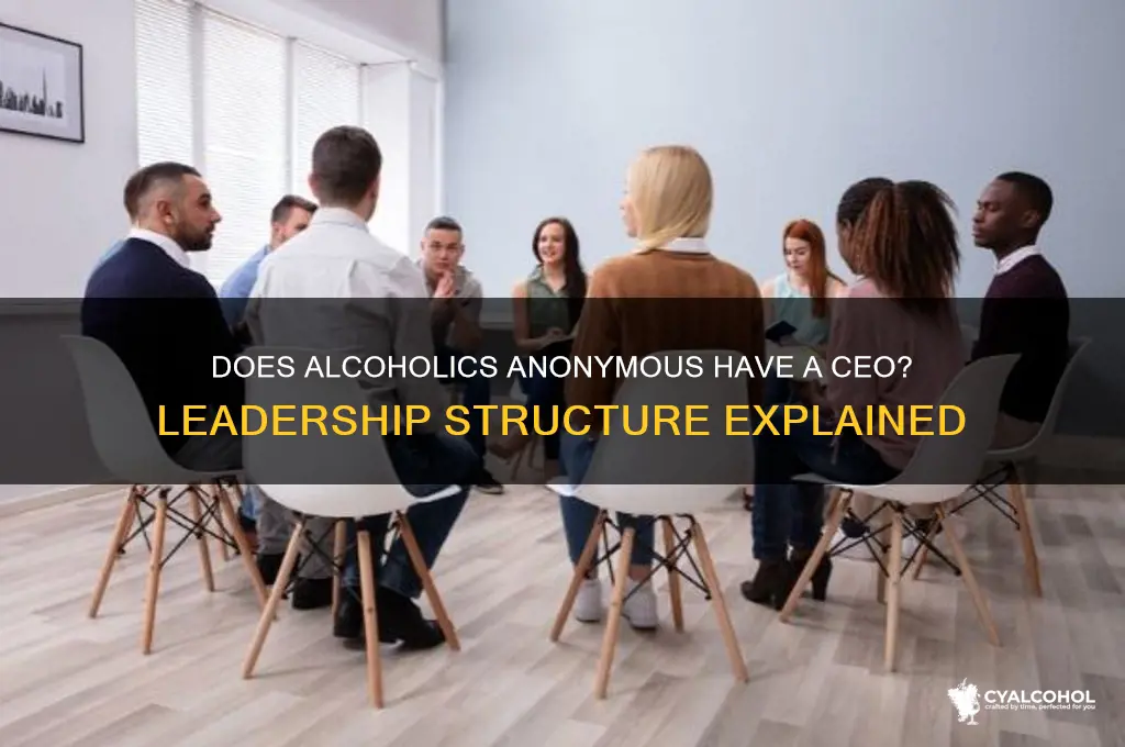 does alcoholics anonymous have a ceo