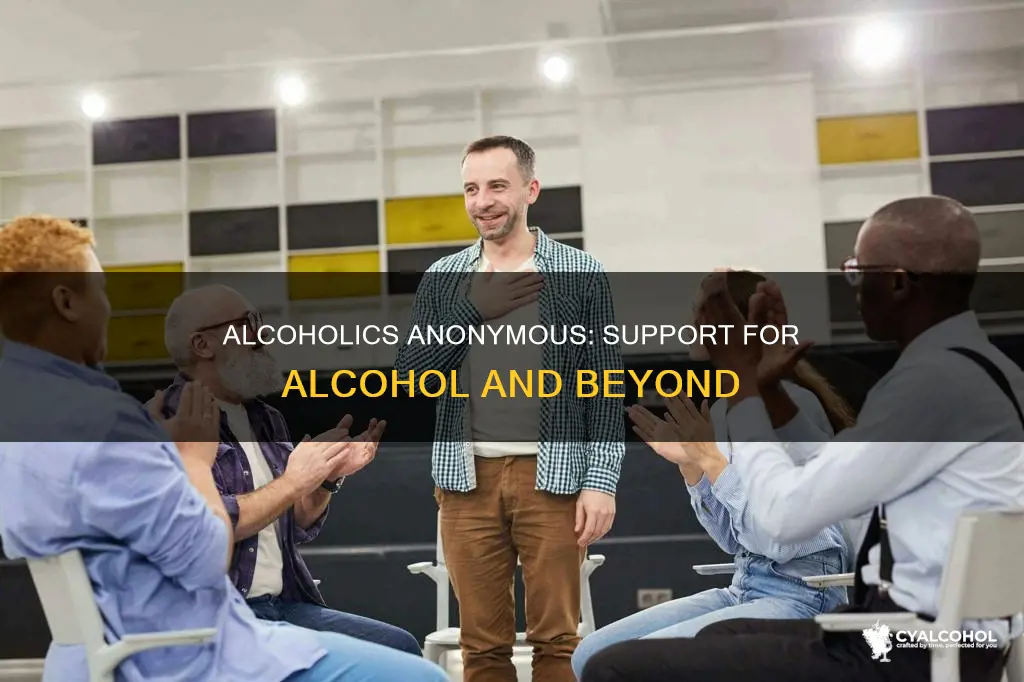 does alcoholics anonymous provide support for other substances besides alcohol