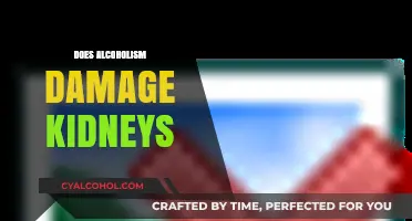 Alcoholism and Kidney Health: Understanding the Risks and Damage
