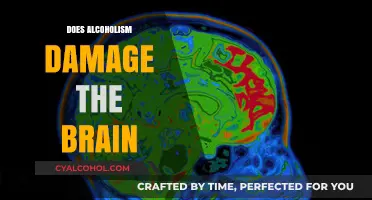 Unveiling the Truth: Alcoholism's Impact on Brain Health Explored