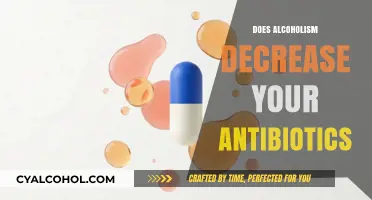 The Sober Truth: Alcoholism's Impact on Antibiotic Effectiveness