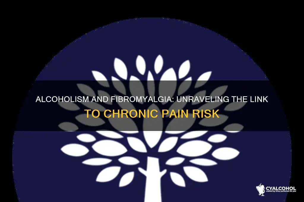 does alcoholism increase risk of fibromyalgia