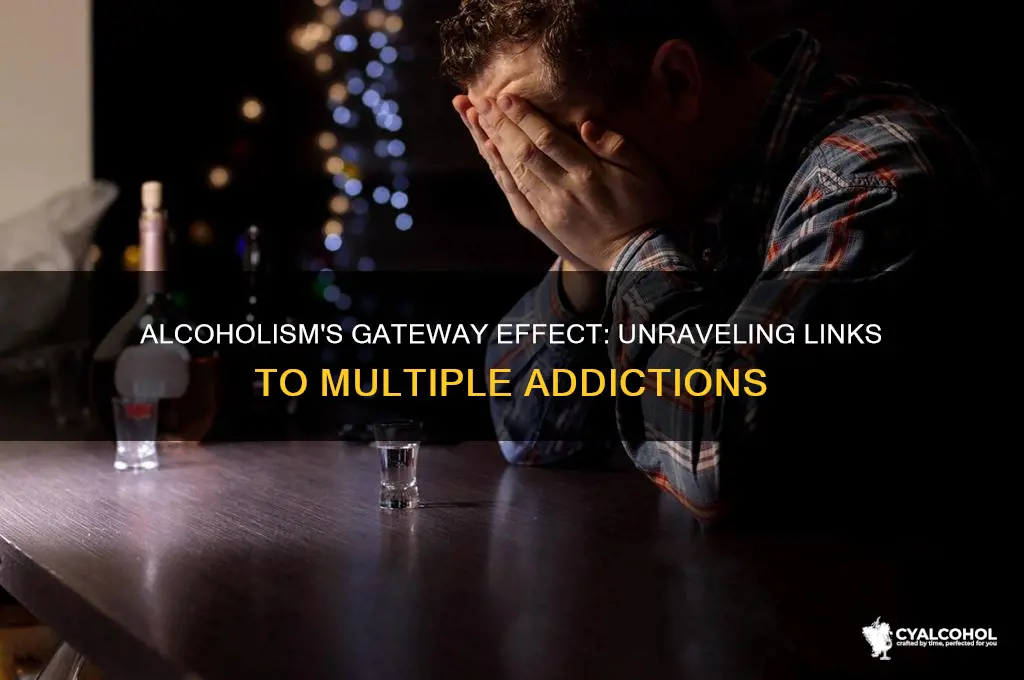 does alcoholism lead to other addictions