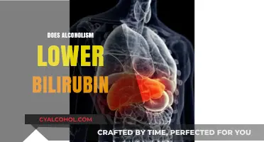 Alcoholism and Bilirubin: Understanding the Impact on Liver Function