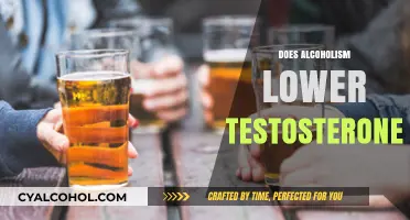 Alcoholism and Testosterone: Uncovering the Impact on Hormonal Health