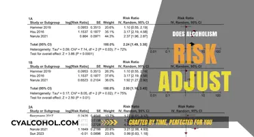 Does Alcoholism Risk Adjust Over Time? Factors and Insights