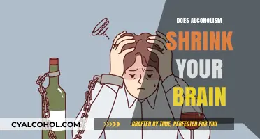 The Sobering Truth: Alcoholism's Impact on Brain Health Revealed