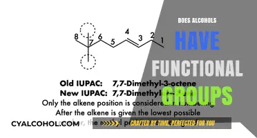 Exploring the Molecular Structure: Do Alcohols Have Functional Groups?