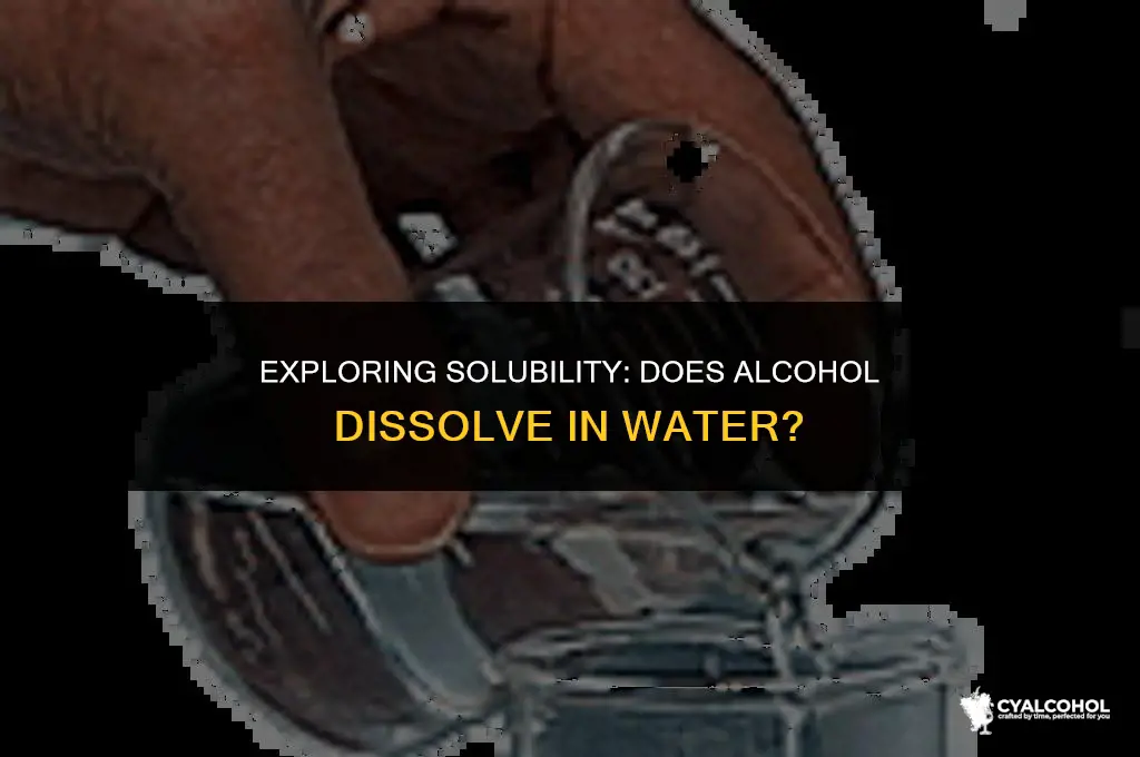 does alcohols soluble in water