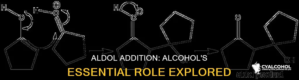 does aldol addition have to be with an alcohol