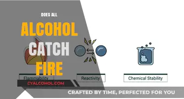 Exploring the Flammability of Alcohol: A Comprehensive Guide