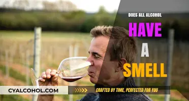 Does All Alcohol Have a Smell? Uncovering the Aromatic Truth