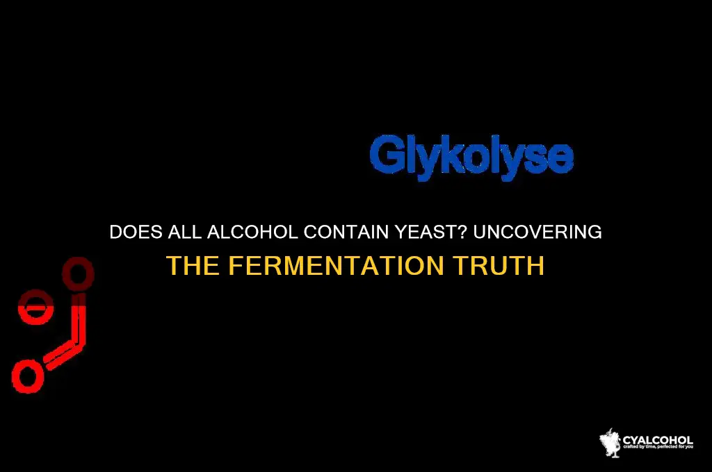 does all alcohol have yeast