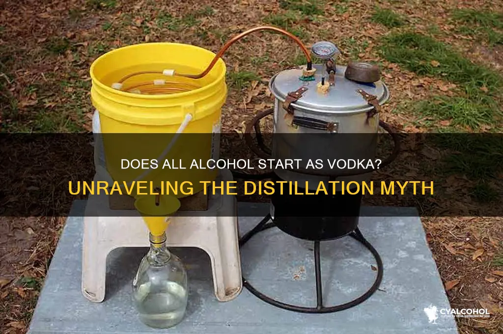 does all alcohol start as vodka