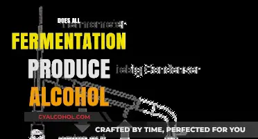 Exploring Fermentation: Does Every Process Yield Alcohol?