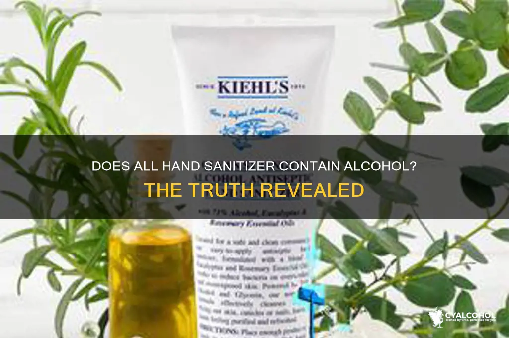 does all hand sanitizer have alcohol