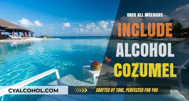 Does All-Inclusive in Cozumel Include Alcohol? Your Guide