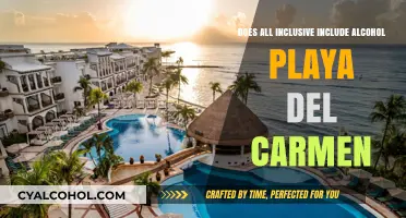 Does All-Inclusive in Playa del Carmen Cover Alcohol? Find Out!