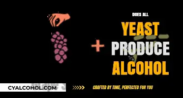 The Truth About Yeast: Not All Yeast Produces Alcohol
