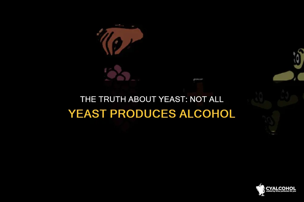 does all yeast produce alcohol