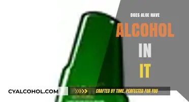 Does Aloe Vera Contain Alcohol? Unraveling the Truth About Its Ingredients