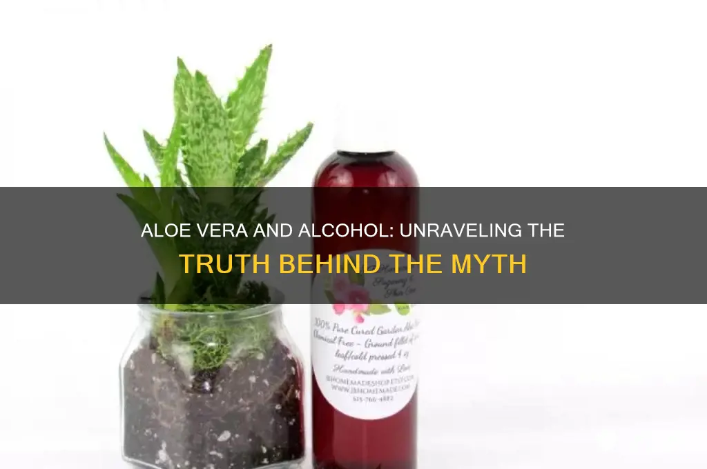 does aloe have alcohol