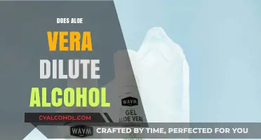 Exploring the Myth: Does Aloe Vera Really Dilute Alcohol?