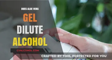Aloe Vera Gel and Alcohol: Does It Dilute or Intensify Effects?