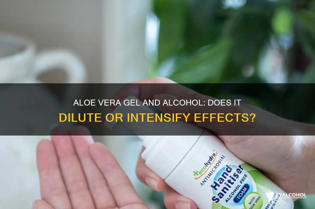 does aloe vera gel dilute alcohol