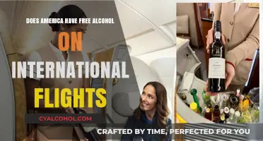 Free Alcohol on International Flights: Does America Offer This Perk?