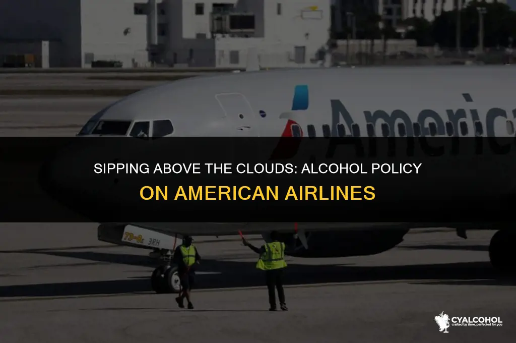 does american airlines allow alcohol