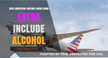 American Airlines Main Cabin Extra: Does It Include Alcohol?