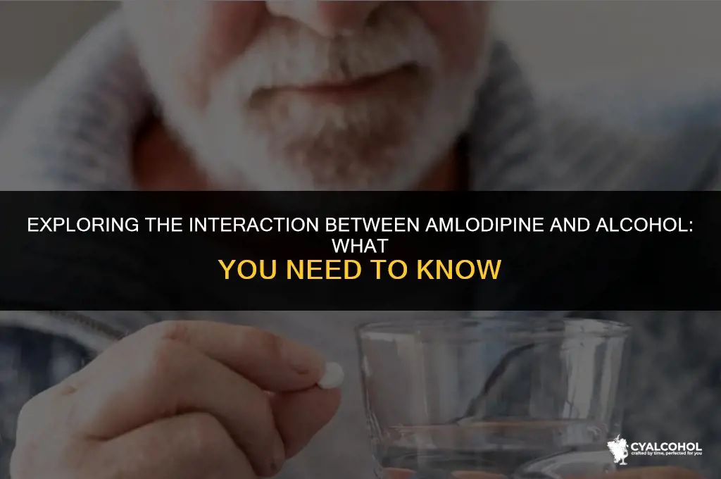 does amlodipine interact with alcohol